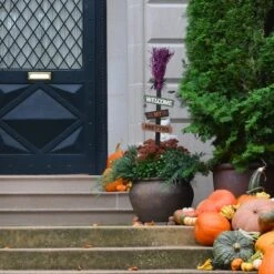 33" Witch’s Broom Garden Stake -Halloween Decor Shop D250012S 2