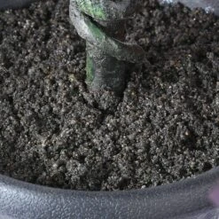 48" Potted Halloween Black Oak Tree -Halloween Decor Shop D400422S 13