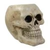 Northlight 9" Ivory & Black Halloween Skull Tabletop Décor 9 Northlight 9" Ivory & Black Halloween Skull Tabletop Décor -Halloween Decor Shop D406217S 1