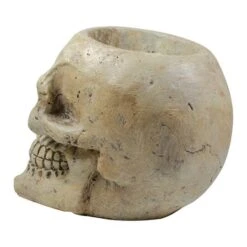 Northlight 9" Ivory & Black Halloween Skull Tabletop Décor 11 Northlight 9" Ivory & Black Halloween Skull Tabletop Décor -Halloween Decor Shop D406217S 5
