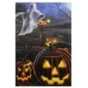 Northlight Pumpkins & Ghost Spooky Halloween Outdoor Garden Flag, 28" X 40" 13 Northlight Pumpkins & Ghost Spooky Halloween Outdoor Garden Flag, 28" X 40" -Halloween Decor Shop D406268S 1
