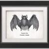Vampire Bat Halloween Print In Black Frame 5 Vampire Bat Halloween Print In Black Frame -Halloween Decor Shop D442715S 1