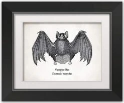 Vampire Bat Halloween Print In Black Frame