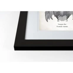 Vampire Bat Halloween Print In Black Frame 6 Vampire Bat Halloween Print In Black Frame -Halloween Decor Shop D442715S 2