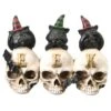 5" EEK Skulls With Black Cats 15 5" EEK Skulls With Black Cats -Halloween Decor Shop D445395S 1