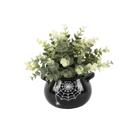 Flora Bunda® Eucalyptus In Spider Web Cauldron 2 Flora Bunda® Eucalyptus In Spider Web Cauldron - Image 2