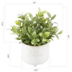 Flora Bunda® Tea Leaf In Hello Pumpkin Ceramic Footed Pot -Halloween Decor Shop D511237S 2