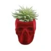 Flora Bunda® Succulent In Burgundy Flocked Ceramic Skull 12 Flora Bunda® Succulent In Burgundy Flocked Ceramic Skull -Halloween Decor Shop D511242S 1