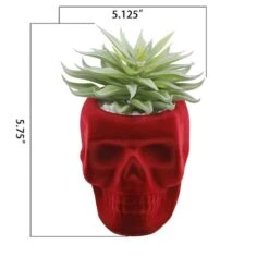 Flora Bunda® Succulent In Burgundy Flocked Ceramic Skull 5 Flora Bunda® Succulent In Burgundy Flocked Ceramic Skull -Halloween Decor Shop D511242S 2