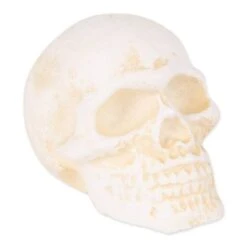 DII® Human Skull Cast Iron Paperweight -Halloween Decor Shop D662099S 1 1