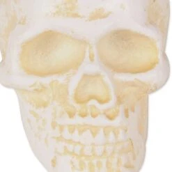 DII® Human Skull Cast Iron Paperweight -Halloween Decor Shop D662099S 3