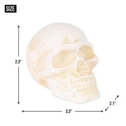 DII® Human Skull Cast Iron Paperweight -Halloween Decor Shop D662099S 4