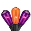 Northlight 10ct. Purple & Orange Edison E17 Halloween Light Set -Halloween Decor Shop D668606S 1