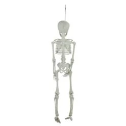 Northlight 20" Jointed Skeleton Hanging Halloween Decoration 8 Northlight 20" Jointed Skeleton Hanging Halloween Decoration -Halloween Decor Shop D668644S 3