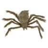 Northlight 24" Brown Spider With LED Eyes Halloween Decoration 6 Northlight 24" Brown Spider With LED Eyes Halloween Decoration -Halloween Decor Shop D668646S 1