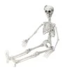 Northlight 35" Jointed Hanging Skeleton Halloween Decoration -Halloween Decor Shop D668658S 1