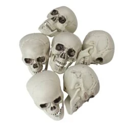 Northlight 3.5'' Skull Head Halloween Decorations, 6ct. -Halloween Decor Shop D668689S 1 1