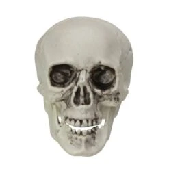 Northlight 3.5'' Skull Head Halloween Decorations, 6ct. -Halloween Decor Shop D668689S 2