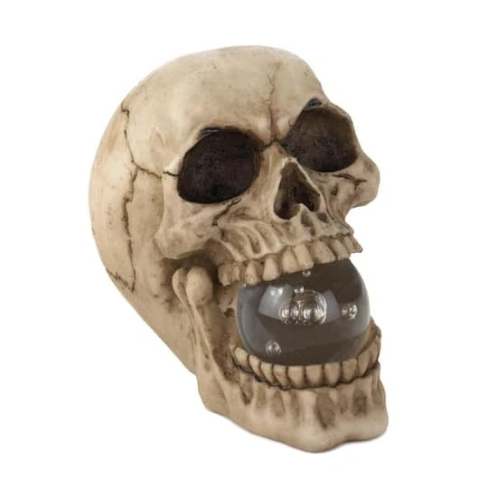 5" Realistic Human Skull With Light-Up Crystal Orb 2 5" Realistic Human Skull With Light-Up Crystal Orb - Image 2