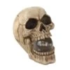 5" Realistic Human Skull With Light-Up Crystal Orb -Halloween Decor Shop D670405S 1