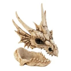 8.5" Detailed Dragon Skull Trinket Box 5 8.5" Detailed Dragon Skull Trinket Box -Halloween Decor Shop D670417S 2