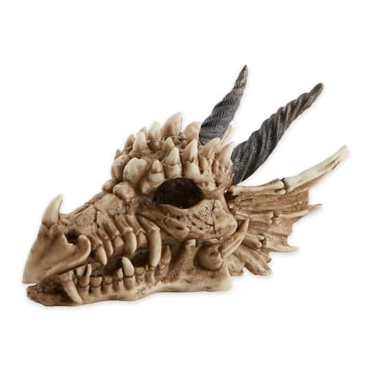12" Snarling Dragon Skull Treasure Trove Box 1 12" Snarling Dragon Skull Treasure Trove Box