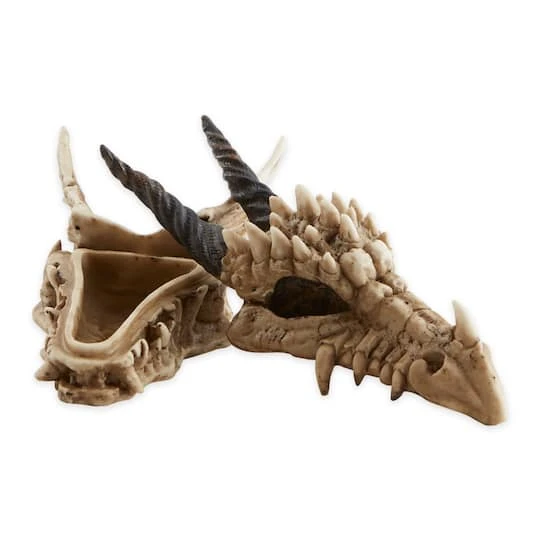 12" Snarling Dragon Skull Treasure Trove Box 4 12" Snarling Dragon Skull Treasure Trove Box - Image 4