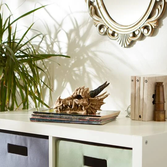 12" Snarling Dragon Skull Treasure Trove Box 6 12" Snarling Dragon Skull Treasure Trove Box - Image 6